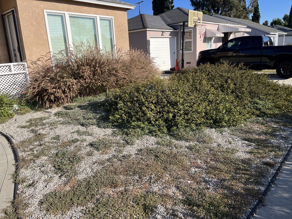 Envision Landscaping