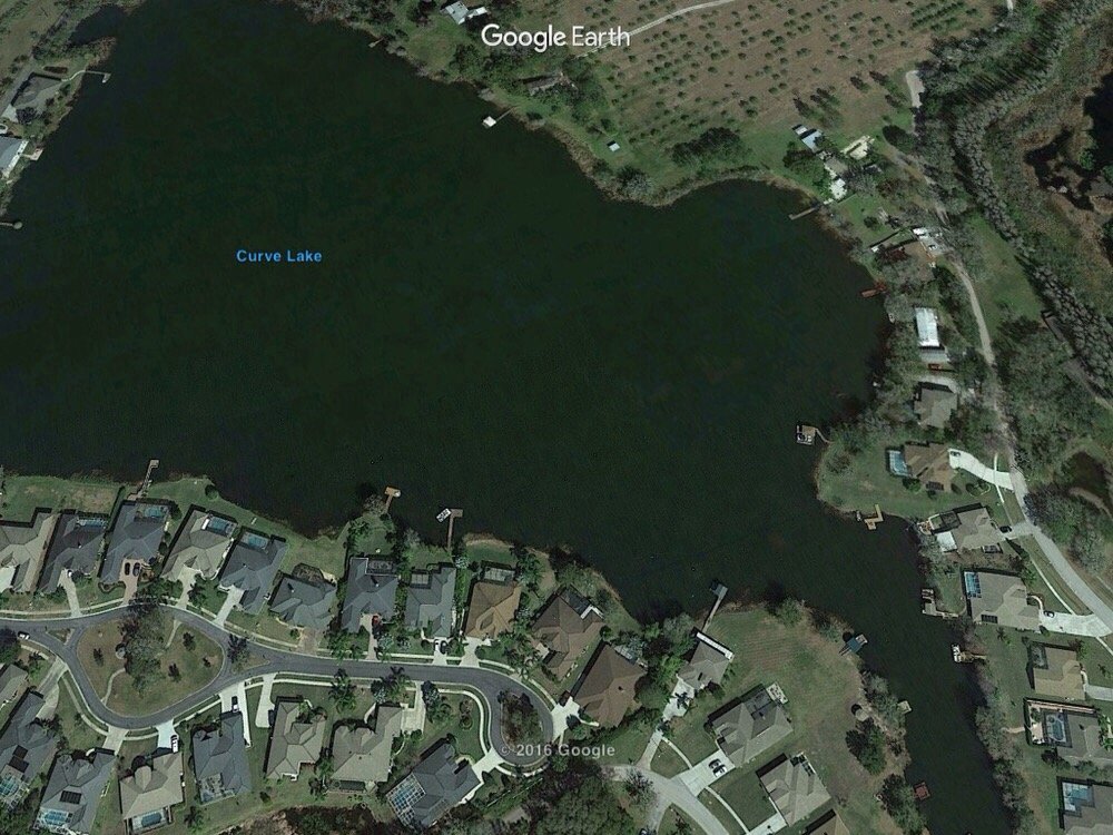 Curve Lake Fishing Land O' Lakes, FL, United States Yelp