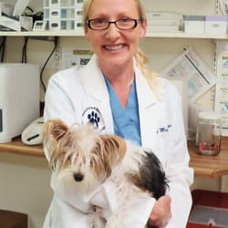 mountain highway veterinary hospital veterinarians 2216 e lamar animal works maryville tn