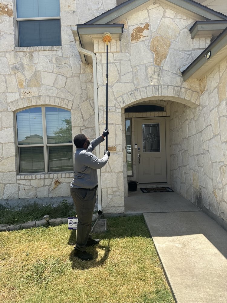 Endeavor Pest Management