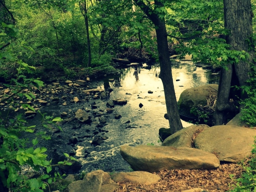 Joseph Bryan Park 12 Photos & 15 Reviews Parks Hermitage Rd & I