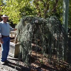 Southern Styles Nursery Garden Ctr 14 Photos Nurseries Photo Of Southern Styles Nursery Garden Ctr Charlotte Nc United States