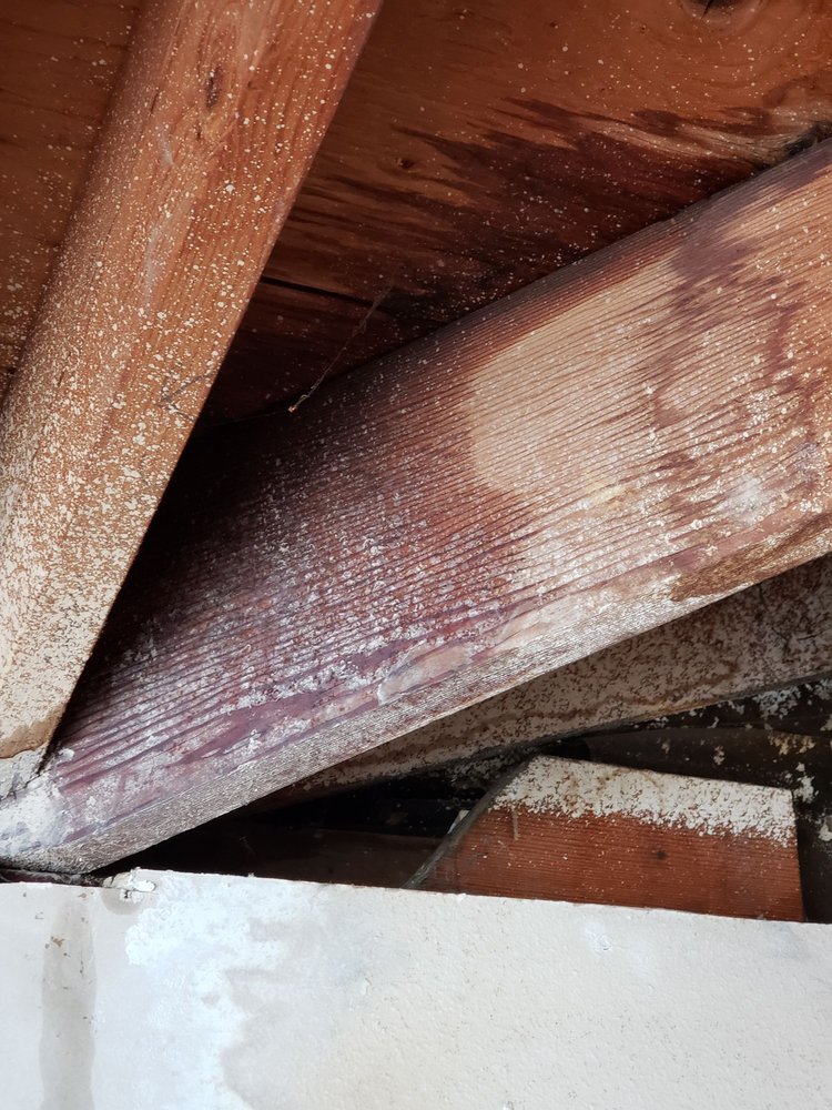 Bruce Roofing