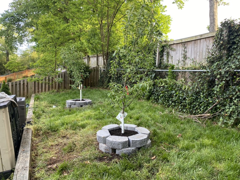 All About Landscaping