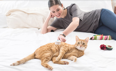 Fetch Pet Care