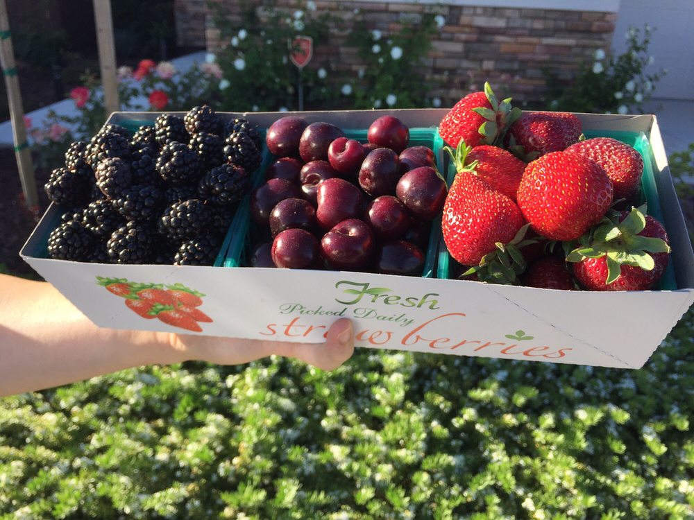 Strawberry Stand Fruits & Veggies Elk GroveFlorin Road And McCoy