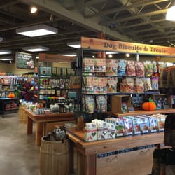 mud bay 36 reviews pet stores 2410 harrison ave nw mud bay 36 reviews pet stores 2410 harrison ave nw