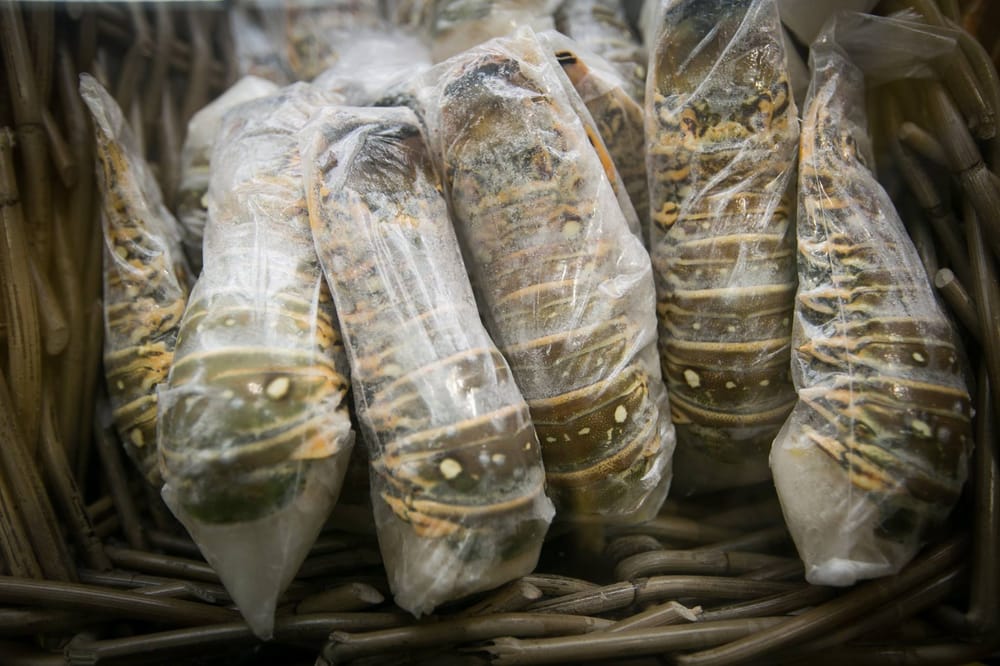 The Fish Place Seafood Markets 1500 Sunrise Hwy, Copiague, NY