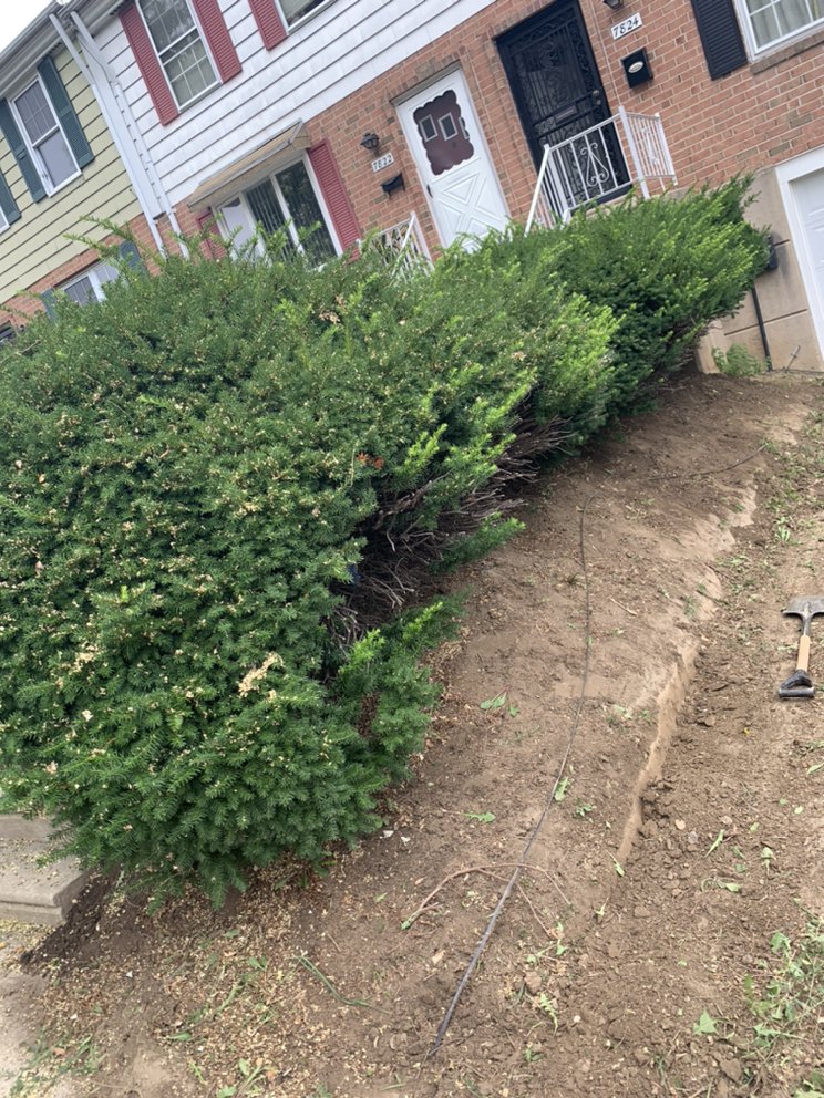 J.M landscape design