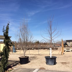 Nurseries Gardening In Nampa Yelp Nurseries Gardening In Nampa