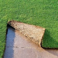 Preferred Sod