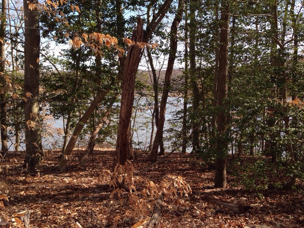 Government Island County Park