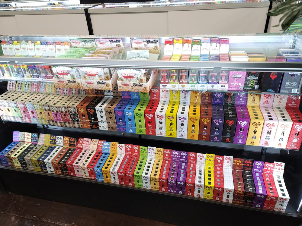 The Oasis Kava Bar & Dispensary