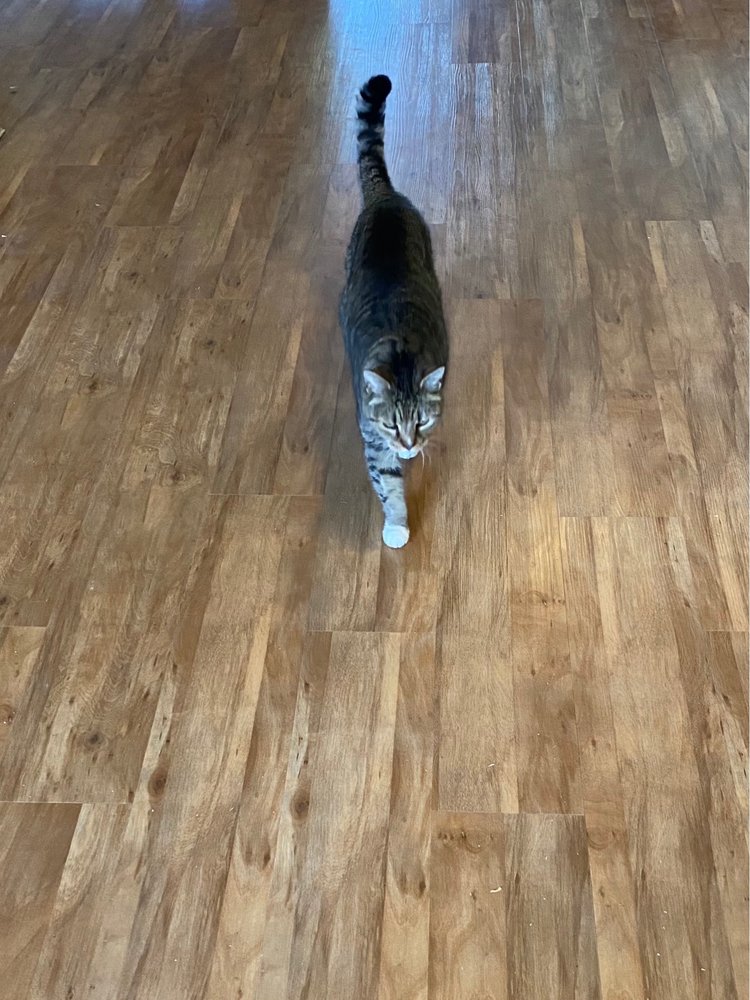 image of business Flooring Direct Kona