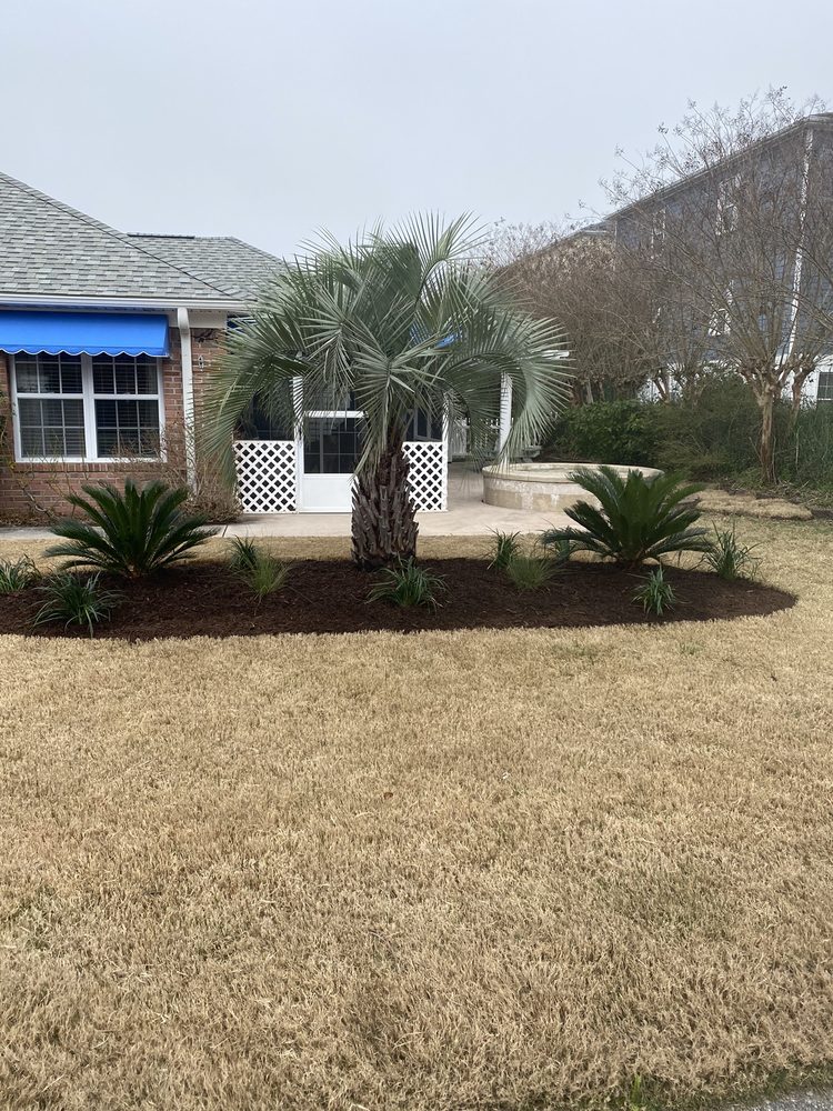 Buenavista's Landscaping