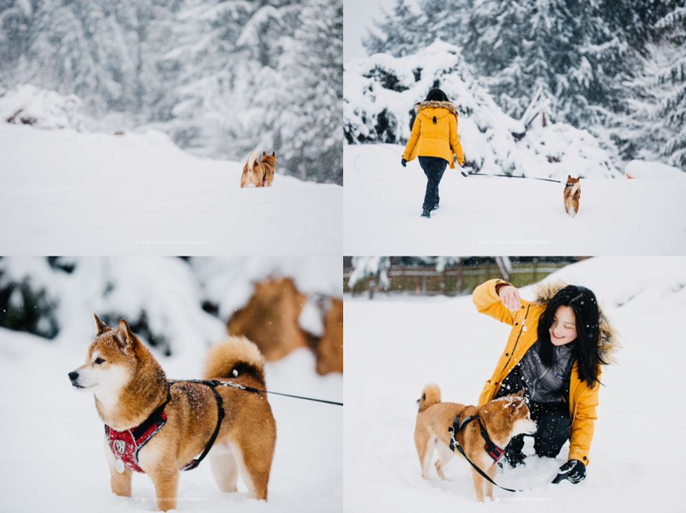 Siqi Chen Photography