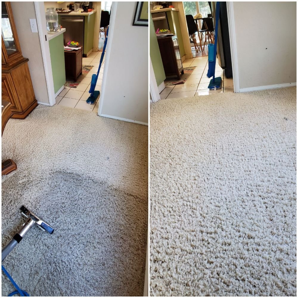 Monster Steamer & Air Duct Cleaning