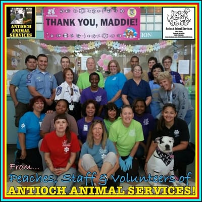 antioch animal services 300 l st antioch ca city government