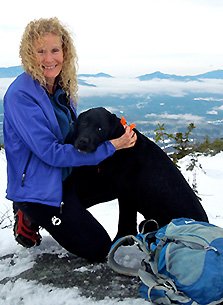 image of business Wendy Everhart, DDS