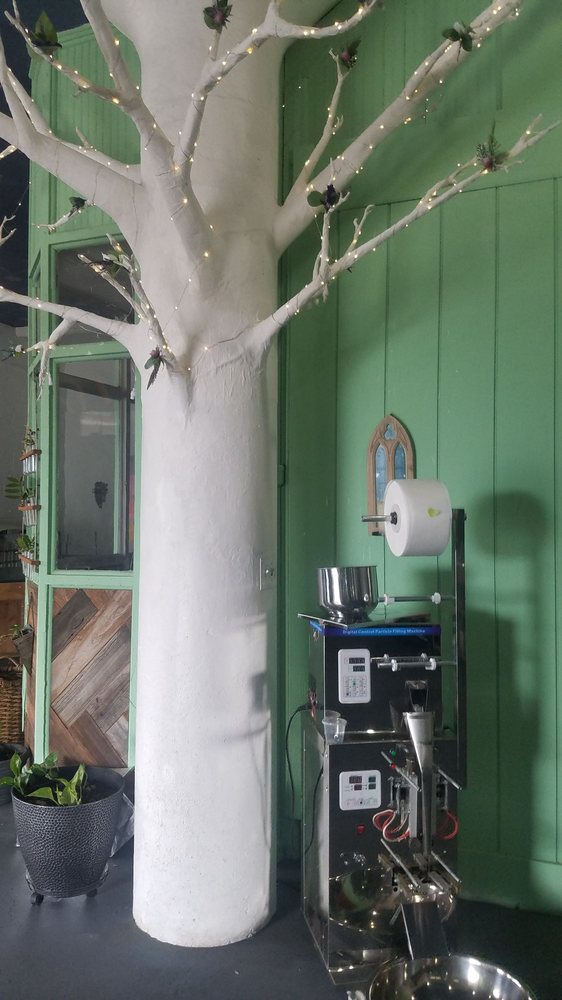 Snowy Owl Kombucha