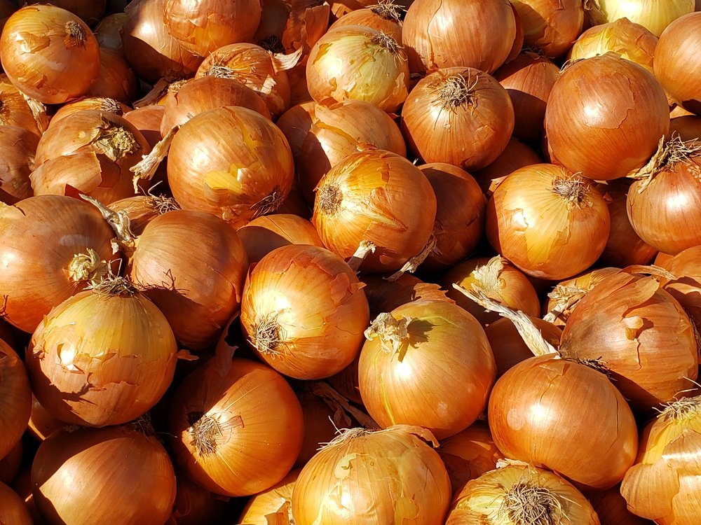 Gill's Onions