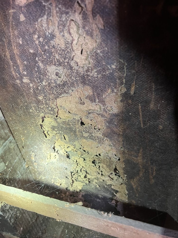 Conquer All Termite Control