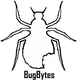 Bug Bytes PC Repair