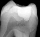 image of business Powell & Udrys DDS PC
