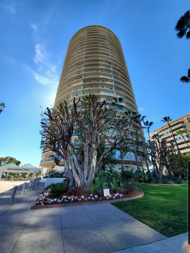 Lexxus Properties