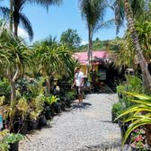 Pala Mesa Nursery 19 Photos 13 Reviews Nurseries Gardening Photo Of Pala Mesa Nursery Fallbrook Ca United States Too Many Beautiful