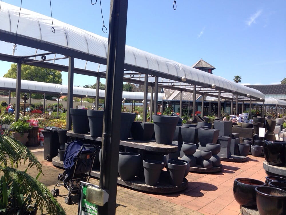 Flower Power Enfield Hours Best Flower Site