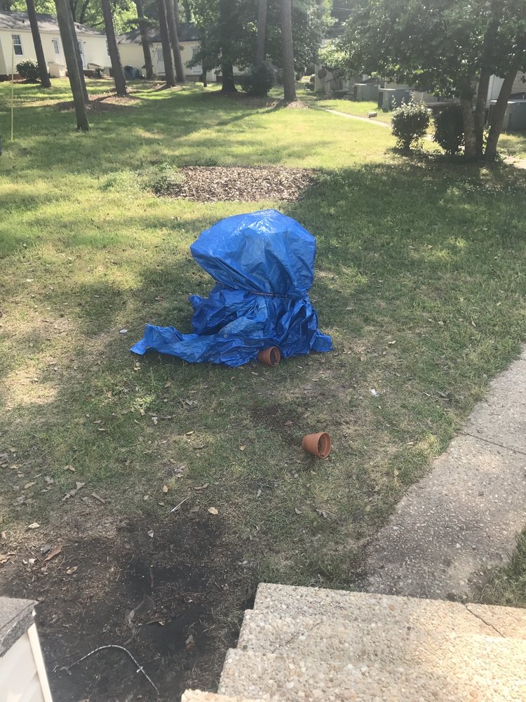 Carolina Pressure Pros