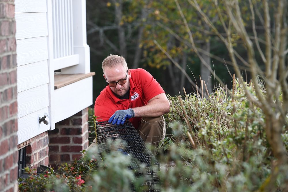 City Wide Exterminating