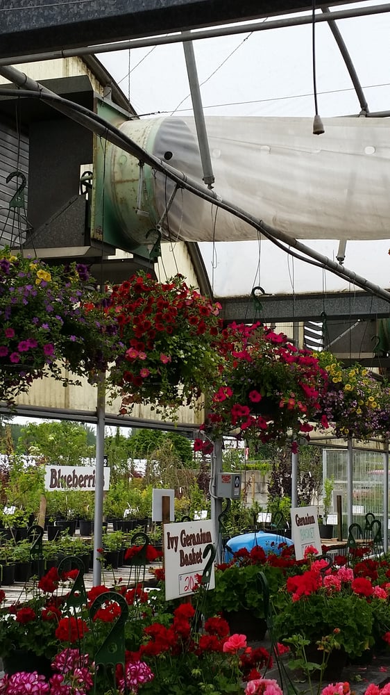 Snohomish Garden Center 10 Photos & 17 Reviews Nurseries