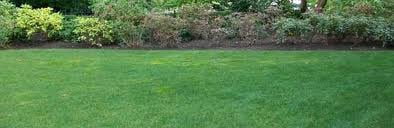 Green Giant Lawn Care