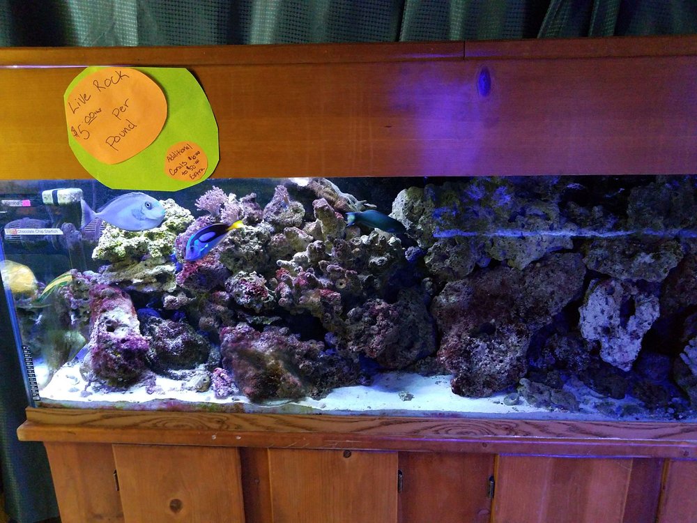 Custom Creatures 43 Photos & 37 Reviews Reptile Shops 10727 N