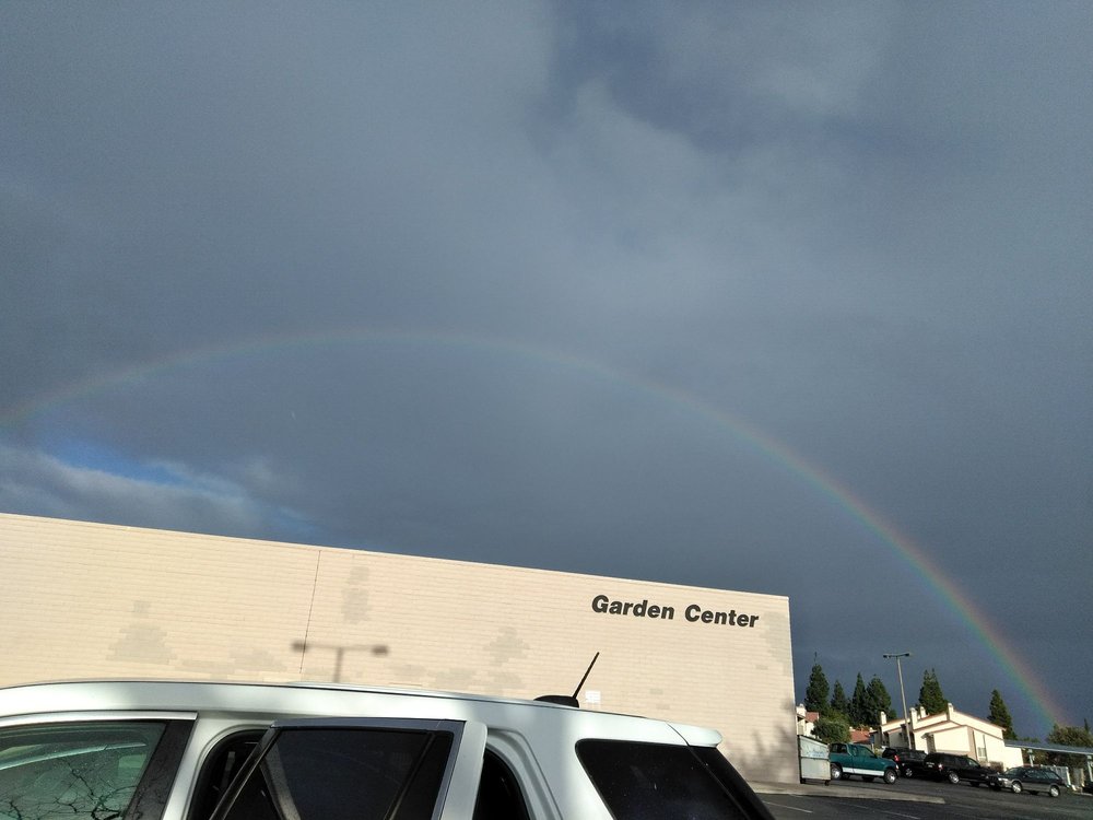 San Carlos True Value Hardware