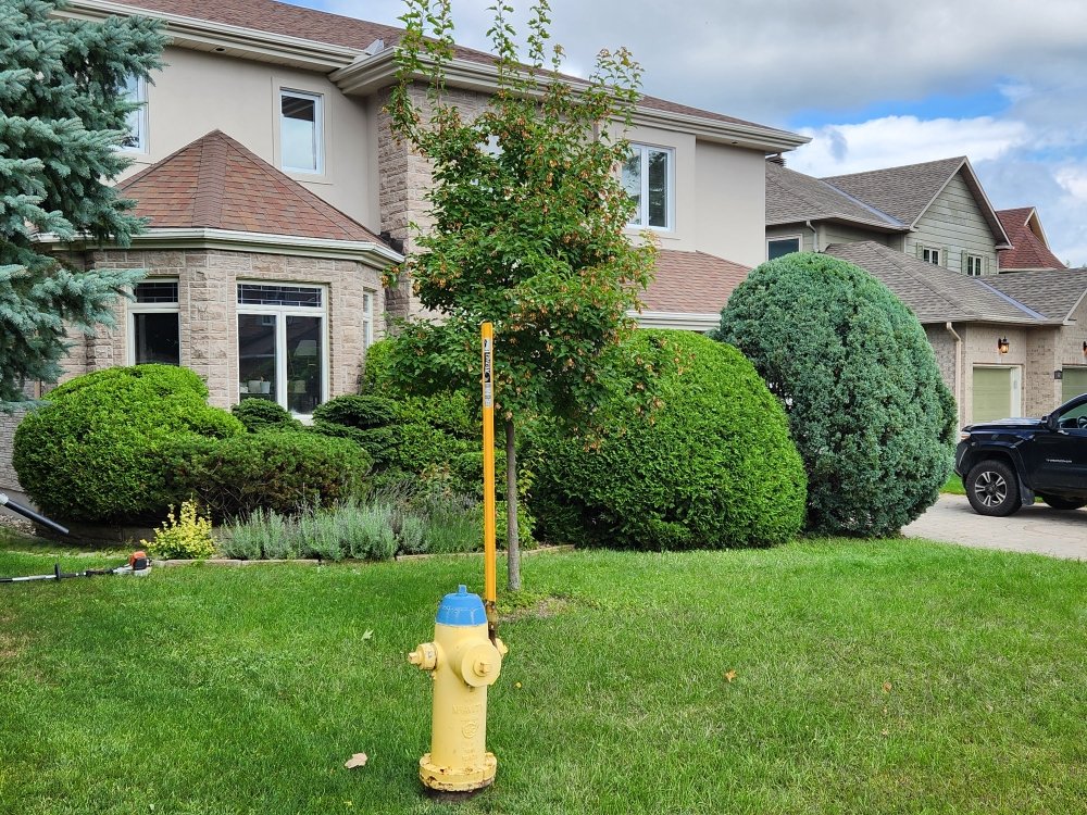Green Machine Hedge Trimming