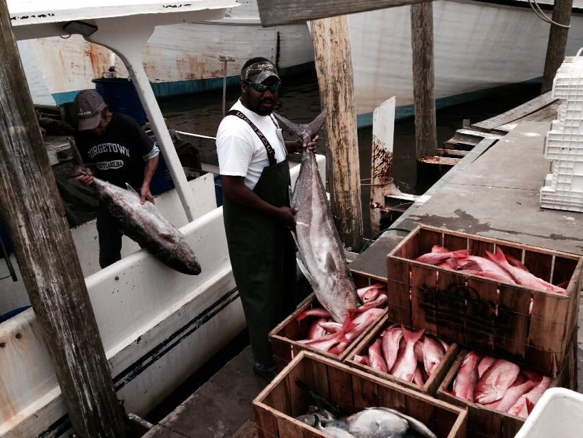 Seven Seas Seafood Market 25 Photos & 23 Reviews Seafood Markets