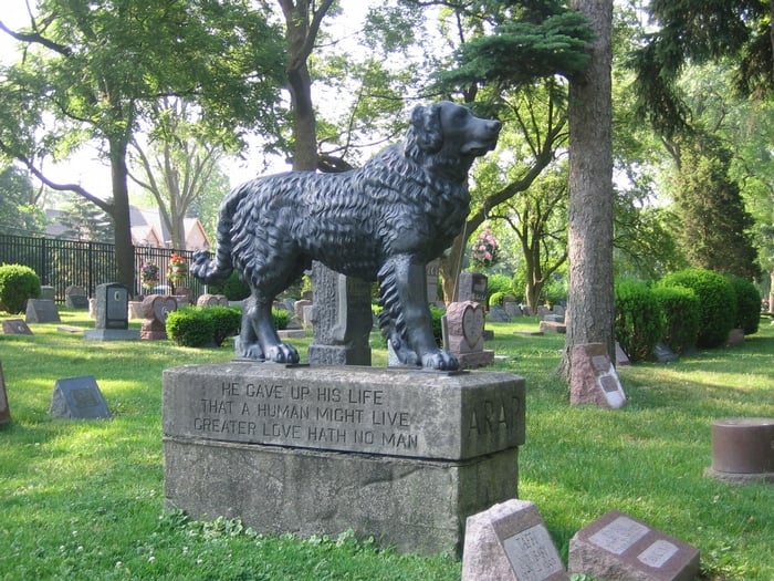 Hinsdale Animal Cemetery And Crematory 23 Photos & 36 Reviews
