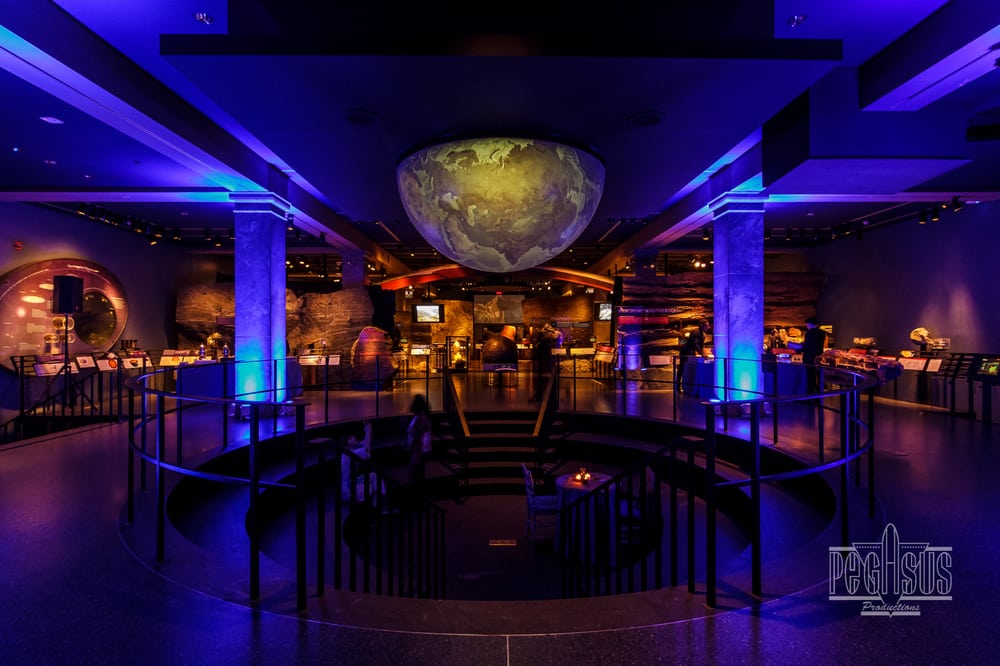 Natural History Museum Of Fl Natural History Museum Of Fl