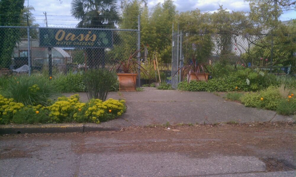 Oasis Water Gardens Nurseries & Gardening 404 S Brandon St