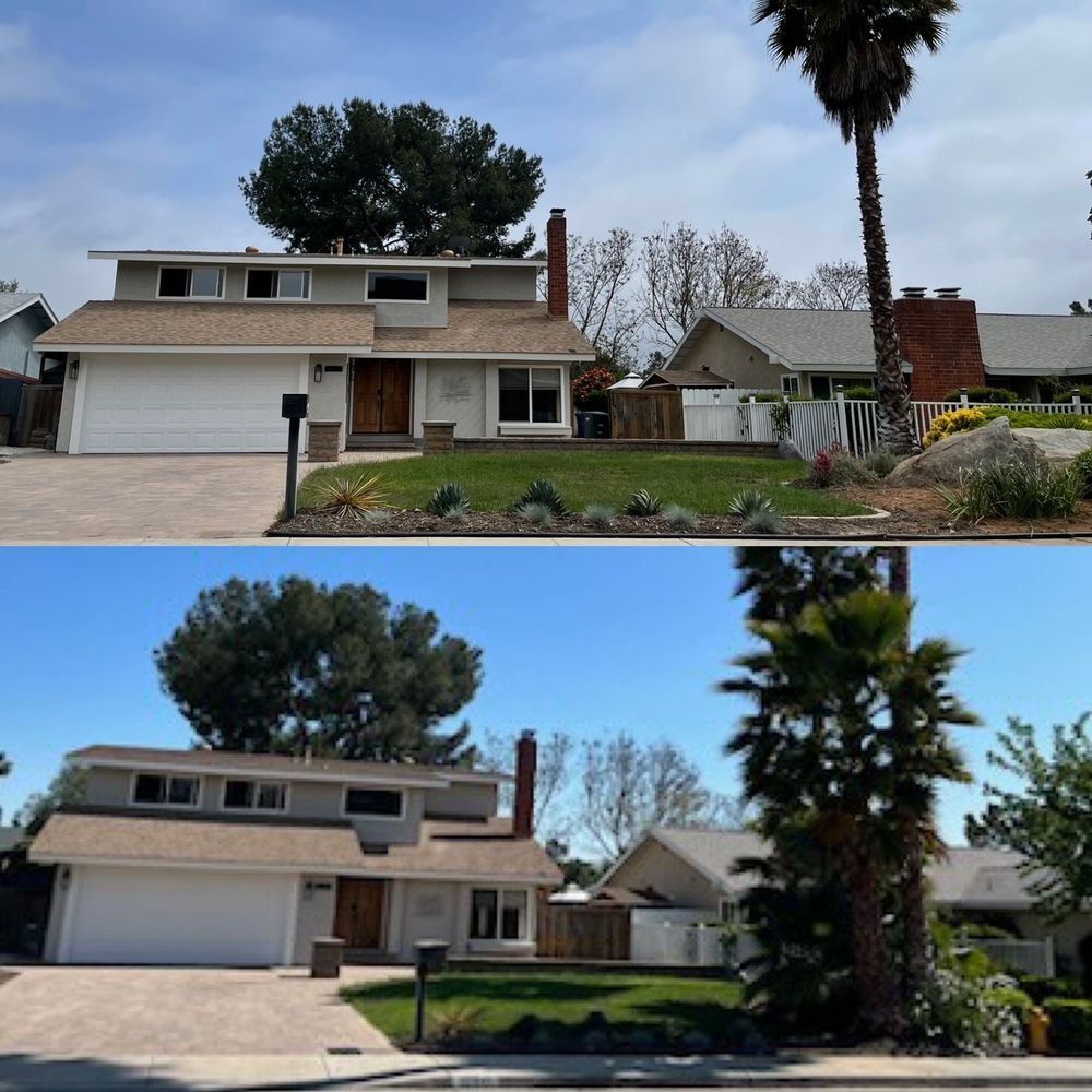 Flores Tree Services