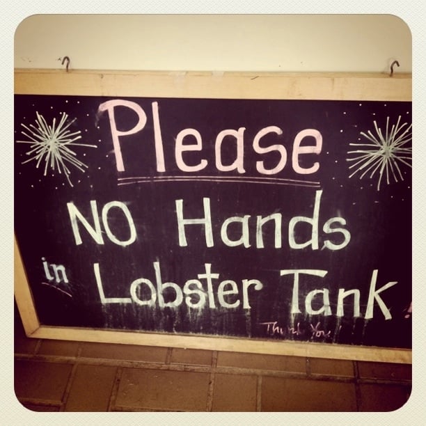 The Fishery