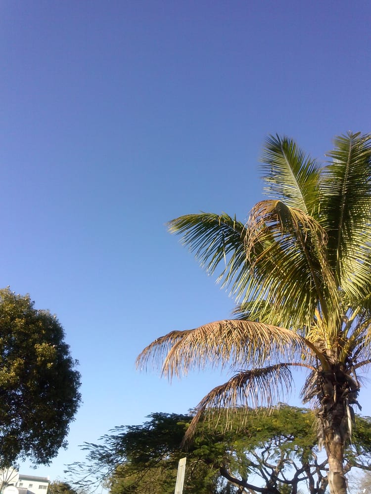 Oak Grove Park 13 Photos Parks 690 NE 159th St, Miami, FL Phone