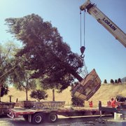 Brightview Tree Company Nurseries Gardening 3200 W Telegraph United States Photo Of Brightview Tree Company Fillmore Ca
