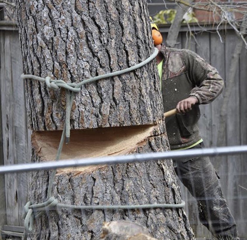 Armstrong Tree Works