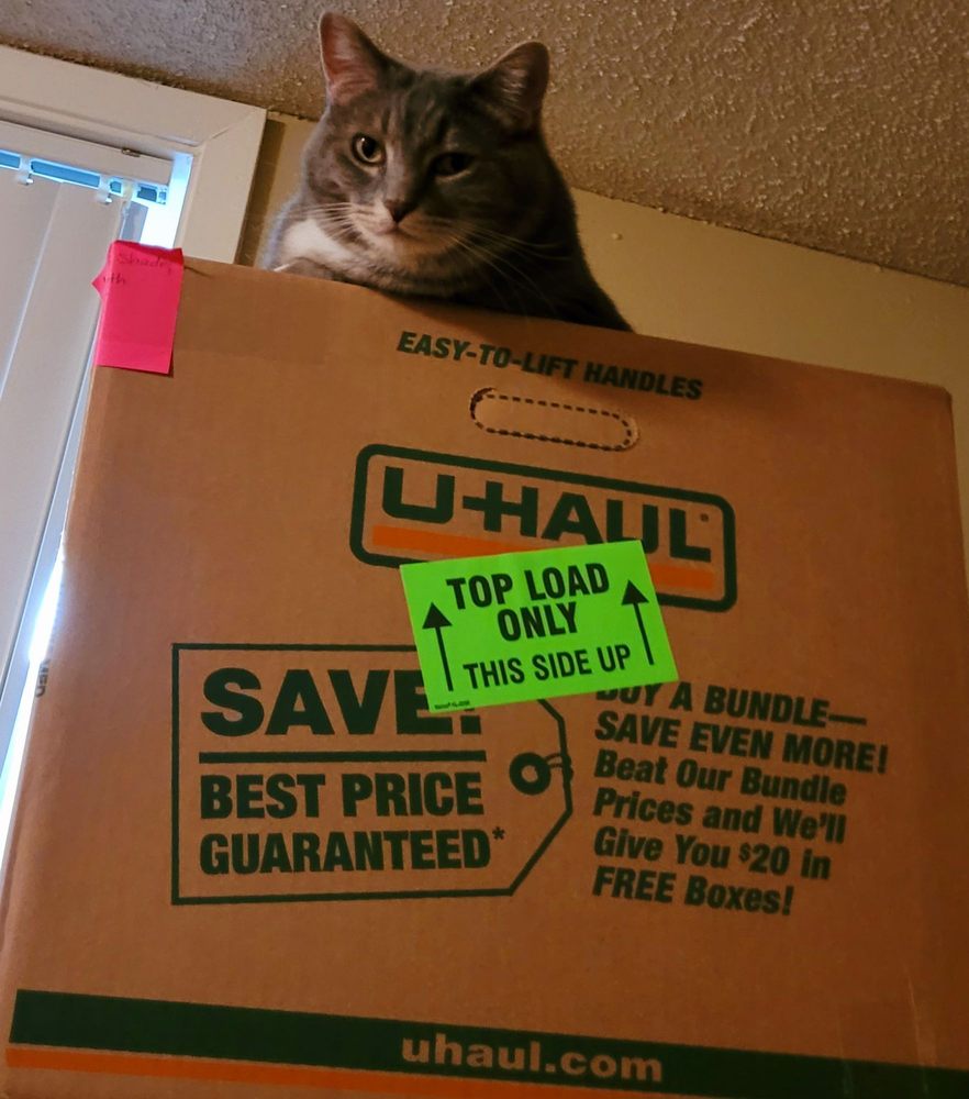 Big Rocks Organizing