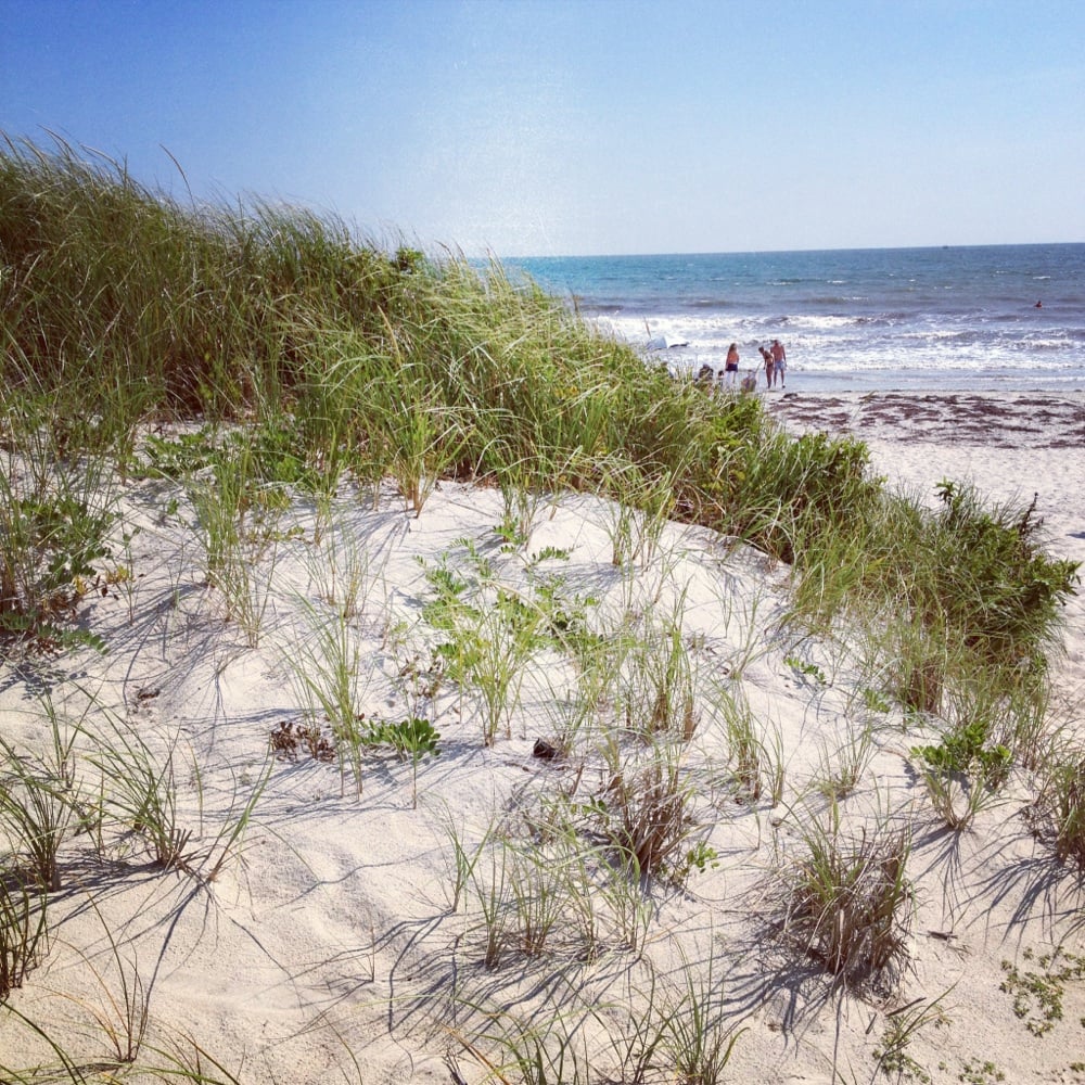 Photos for Horseneck Beach State Reservation Yelp