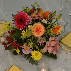Bloomsberry Flowers photo